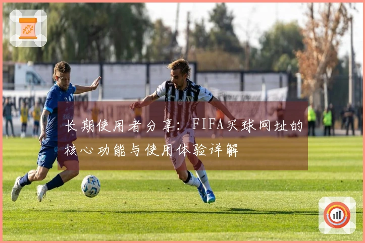 长期使用者分享：FIFA买球网址的核心功能与使用体验详解