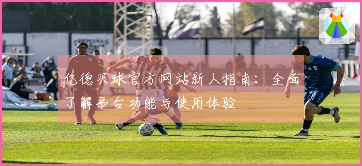 亿德买球官方网站新人指南：全面了解平台功能与使用体验