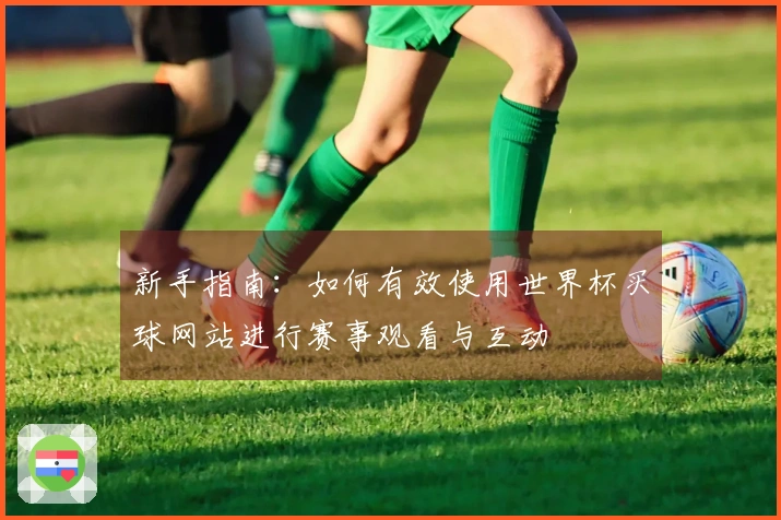新手指南：如何有效使用世界杯买球网站进行赛事观看与互动