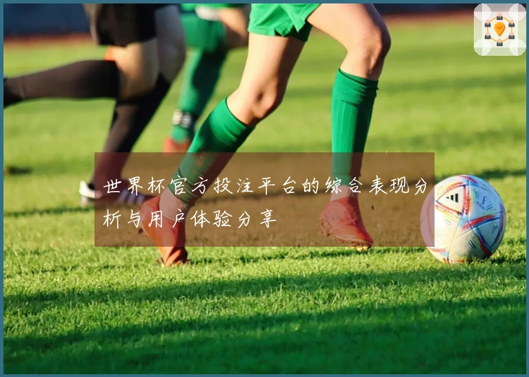 世界杯官方投注平台的综合表现分析与用户体验分享