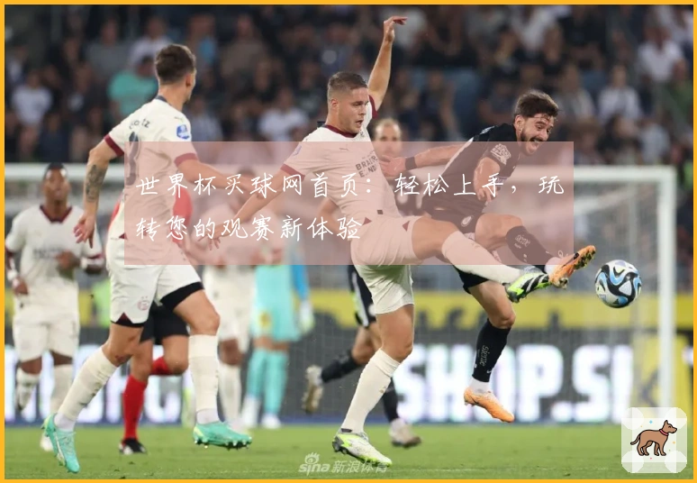 世界杯买球网首页:轻松上手,玩转您的观赛新体验