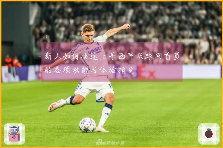 新人如何快速上手西甲买球网首页的各项功能与体验指南