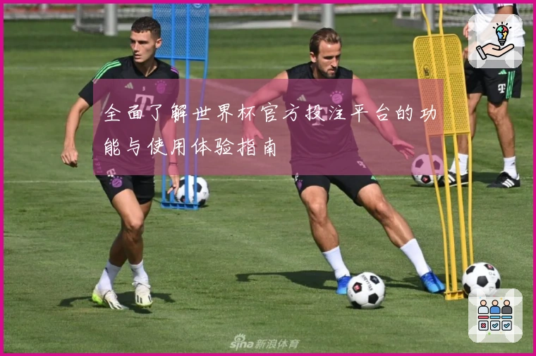 全面了解世界杯官方投注平台的功能与使用体验指南