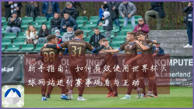 新手指南：如何有效使用世界杯买球网站进行赛事观看与互动