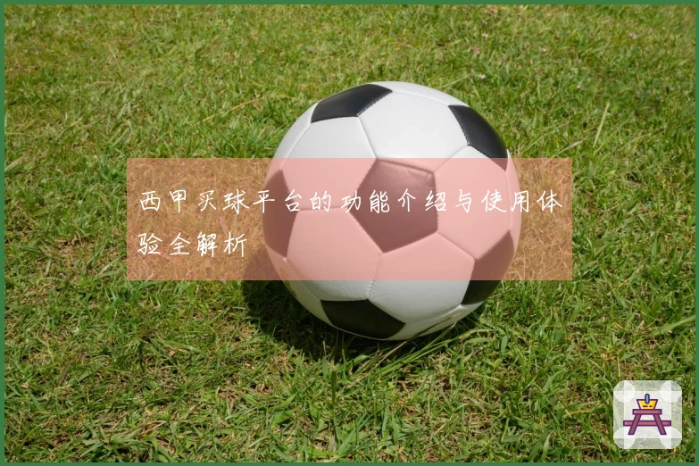 西甲买球平台的功能介绍与使用体验全解析