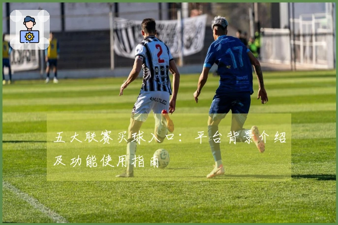 五大联赛买球入口：平台背景介绍及功能使用指南