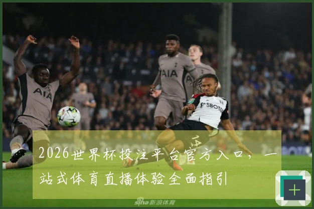 2026世界杯投注平台官方入口，一站式体育直播体验全面指引