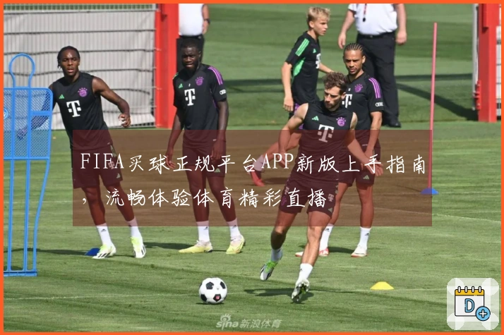FIFA买球正规平台APP新版上手指南，流畅体验体育精彩直播