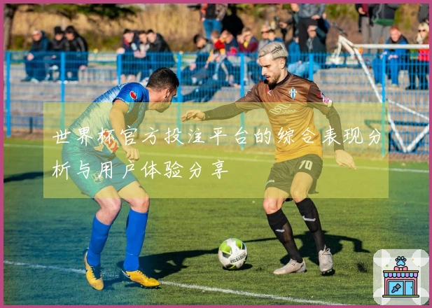 世界杯官方投注平台的综合表现分析与用户体验分享