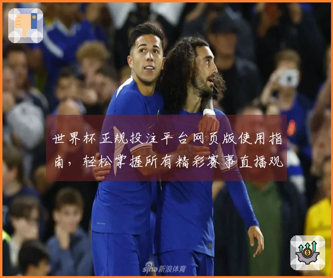 世界杯正规投注平台网页版使用指南，轻松掌握所有精彩赛事直播观赛体验